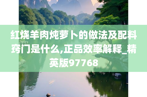 红烧羊肉炖萝卜的做法及配料窍门是什么,正品效率解释_精英版97768