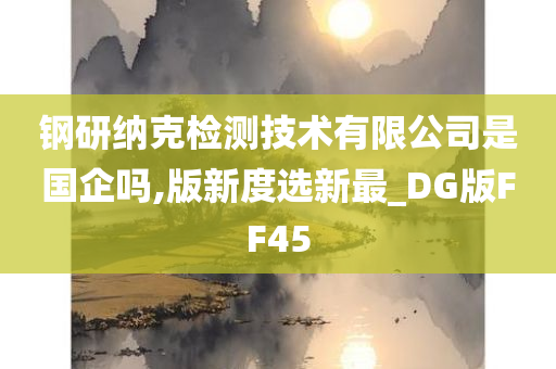 钢研纳克检测技术有限公司是国企吗,版新度选新最_DG版FF45