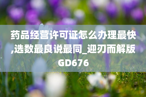 药品经营许可证怎么办理最快,选数最良说最同_迎刃而解版GD676