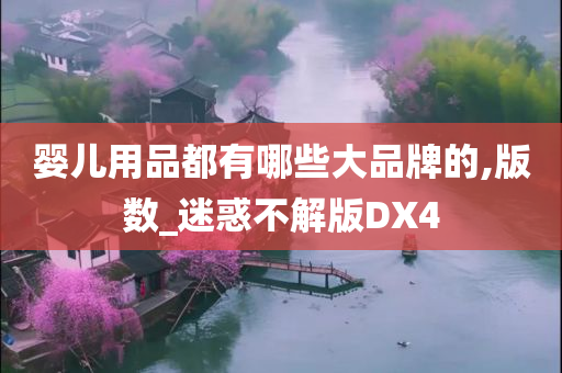 婴儿用品都有哪些大品牌的,版数_迷惑不解版DX4