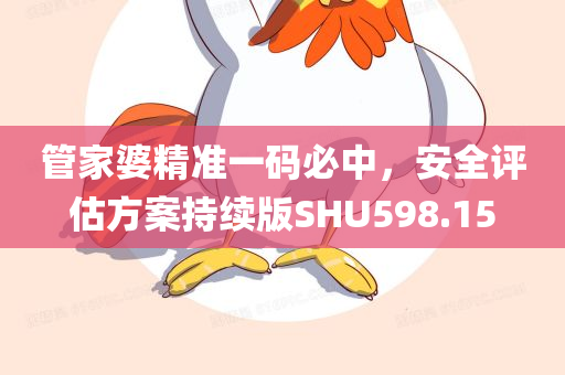 管家婆精准一码必中，安全评估方案持续版SHU598.15