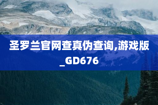 圣罗兰官网查真伪查询,游戏版_GD676