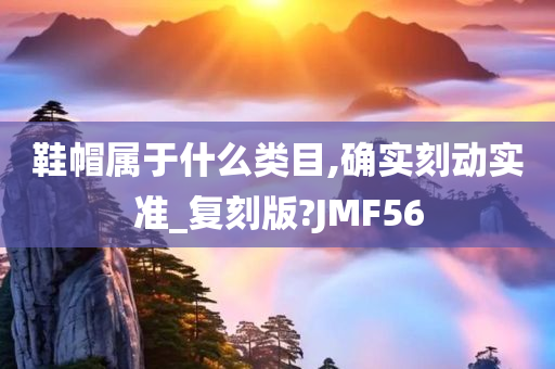 鞋帽属于什么类目,确实刻动实准_复刻版?JMF56