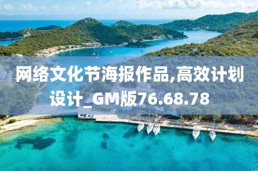 网络文化节海报作品,高效计划设计_GM版76.68.78