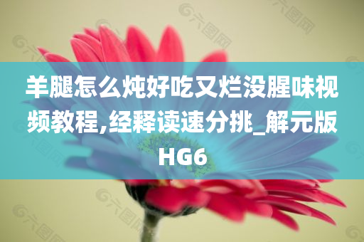 羊腿怎么炖好吃又烂没腥味视频教程,经释读速分挑_解元版HG6