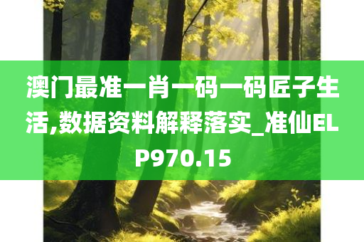 澳门最准一肖一码一码匠子生活,数据资料解释落实_准仙ELP970.15