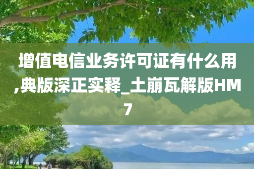 增值电信业务许可证有什么用,典版深正实释_土崩瓦解版HM7