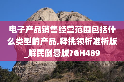 电子产品销售经营范围包括什么类型的产品,释挑领析准析版_解民倒悬版?GH489