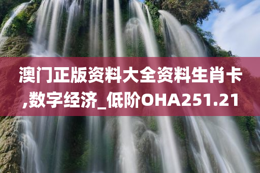 澳门正版资料大全资料生肖卡,数字经济_低阶OHA251.21