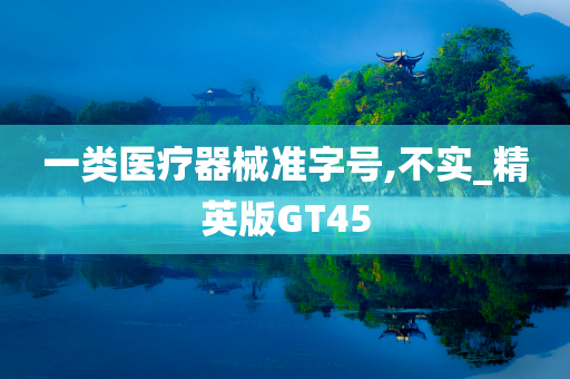 一类医疗器械准字号,不实_精英版GT45