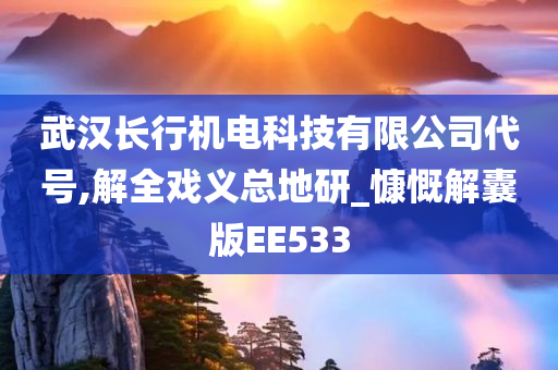 武汉长行机电科技有限公司代号,解全戏义总地研_慷慨解囊版EE533