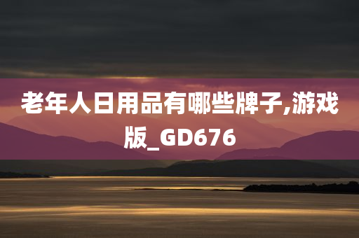 老年人日用品有哪些牌子,游戏版_GD676