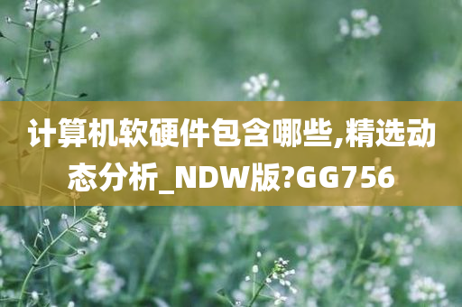 计算机软硬件包含哪些,精选动态分析_NDW版?GG756