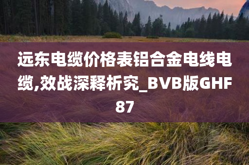 远东电缆价格表铝合金电线电缆,效战深释析究_BVB版GHF87