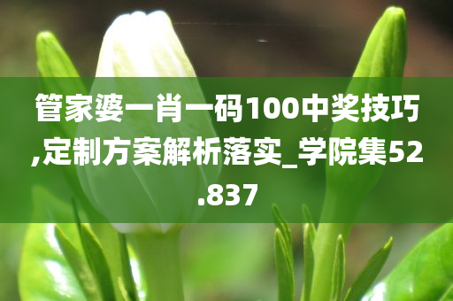 管家婆一肖一码100中奖技巧,定制方案解析落实_学院集52.837