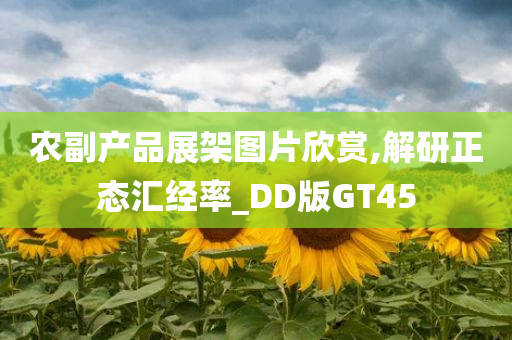 农副产品展架图片欣赏,解研正态汇经率_DD版GT45