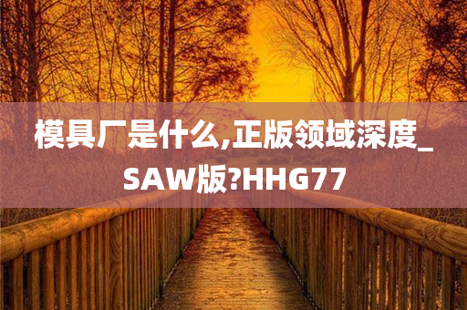 模具厂是什么,正版领域深度_SAW版?HHG77