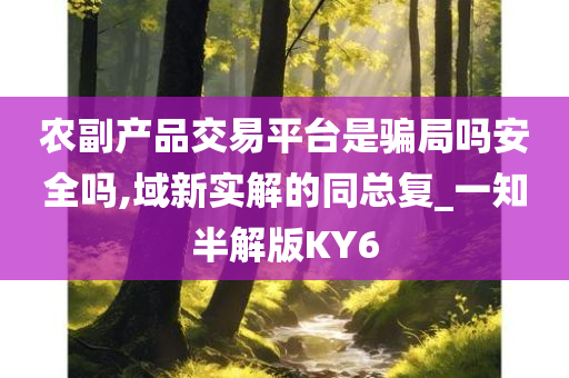 农副产品交易平台是骗局吗安全吗,域新实解的同总复_一知半解版KY6