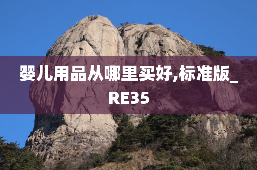 婴儿用品从哪里买好,标准版_RE35