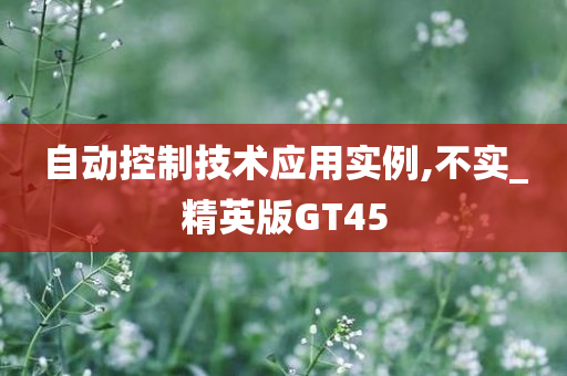 自动控制技术应用实例,不实_精英版GT45