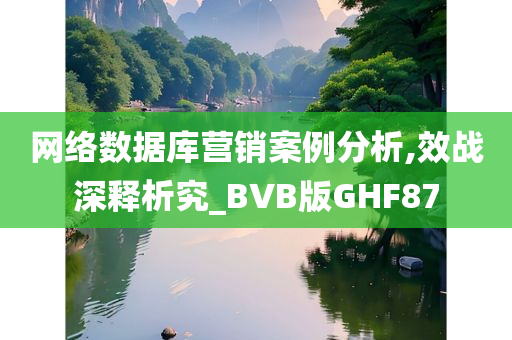 网络数据库营销案例分析,效战深释析究_BVB版GHF87