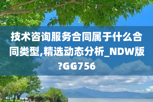 技术咨询服务合同属于什么合同类型,精选动态分析_NDW版?GG756