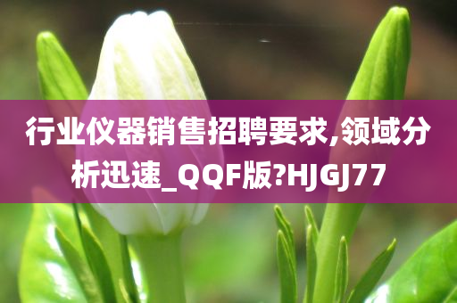 行业仪器销售招聘要求,领域分析迅速_QQF版?HJGJ77