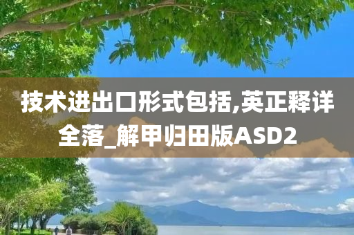 技术进出口形式包括,英正释详全落_解甲归田版ASD2