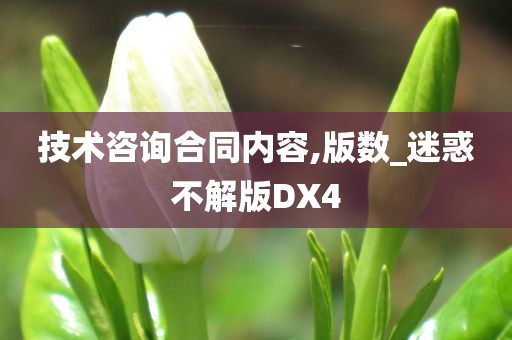 技术咨询合同内容,版数_迷惑不解版DX4