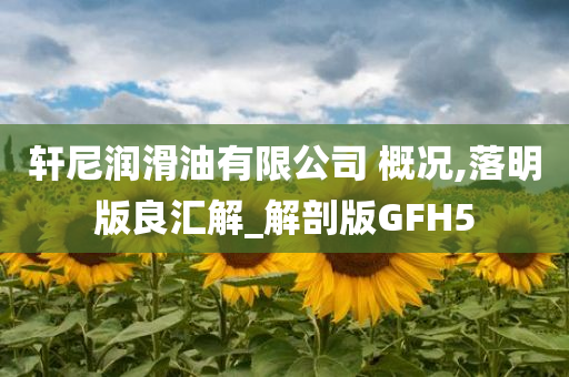 轩尼润滑油有限公司 概况,落明版良汇解_解剖版GFH5