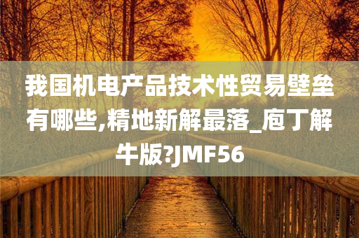 我国机电产品技术性贸易壁垒有哪些,精地新解最落_庖丁解牛版?JMF56