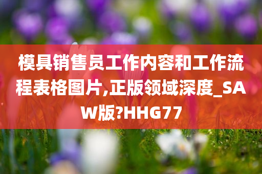 模具销售员工作内容和工作流程表格图片,正版领域深度_SAW版?HHG77