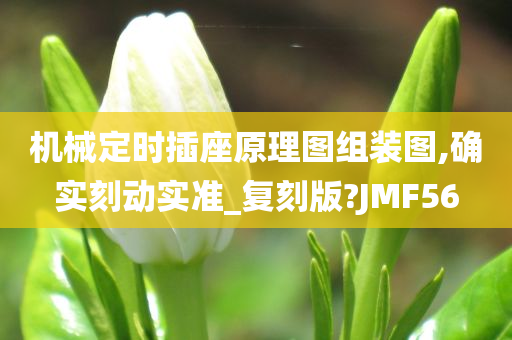 机械定时插座原理图组装图,确实刻动实准_复刻版?JMF56