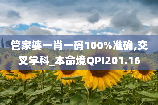 管家婆一肖一码100%准确,交叉学科_本命境QPI201.16