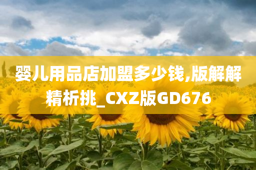 婴儿用品店加盟多少钱,版解解精析挑_CXZ版GD676