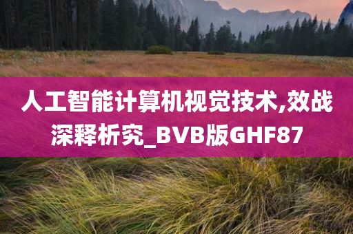 人工智能计算机视觉技术,效战深释析究_BVB版GHF87