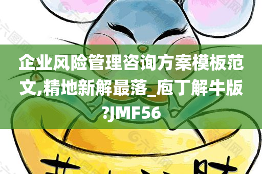 企业风险管理咨询方案模板范文,精地新解最落_庖丁解牛版?JMF56