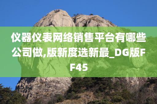 仪器仪表网络销售平台有哪些公司做,版新度选新最_DG版FF45