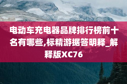 电动车充电器品牌排行榜前十名有哪些,标精游据答明释_解释版XC76