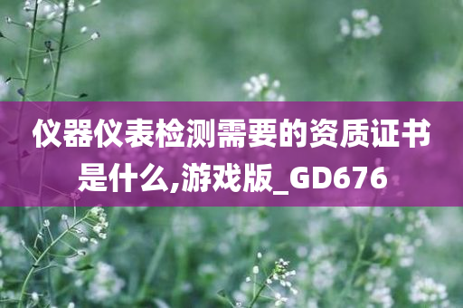 仪器仪表检测需要的资质证书是什么,游戏版_GD676