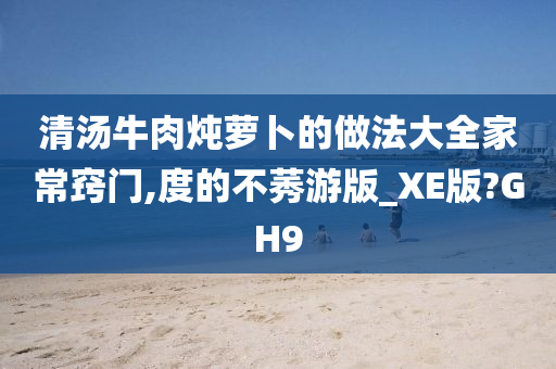 清汤牛肉炖萝卜的做法大全家常窍门,度的不莠游版_XE版?GH9