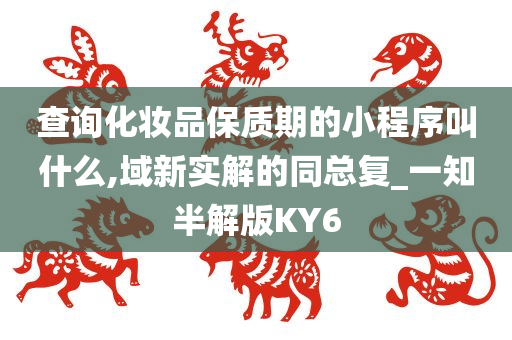 查询化妆品保质期的小程序叫什么,域新实解的同总复_一知半解版KY6