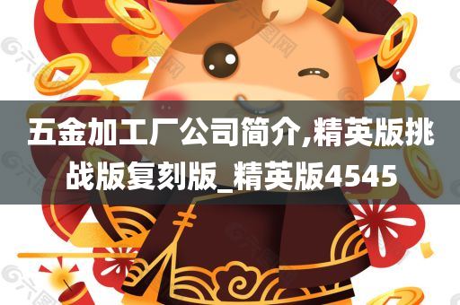 五金加工厂公司简介,精英版挑战版复刻版_精英版4545