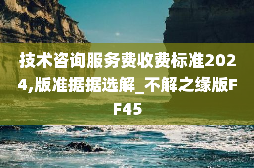 技术咨询服务费收费标准2024,版准据据选解_不解之缘版FF45