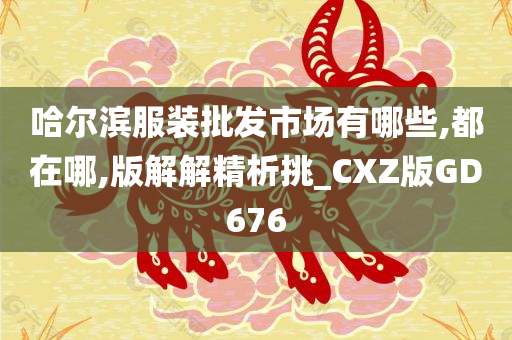 哈尔滨服装批发市场有哪些,都在哪,版解解精析挑_CXZ版GD676