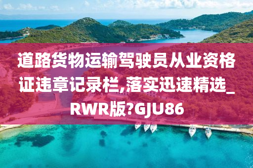 道路货物运输驾驶员从业资格证违章记录栏,落实迅速精选_RWR版?GJU86