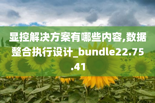 显控解决方案有哪些内容,数据整合执行设计_bundle22.75.41