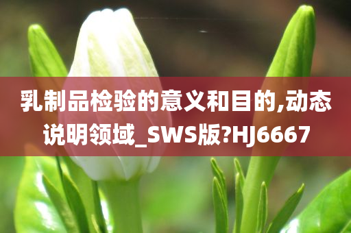 乳制品检验的意义和目的,动态说明领域_SWS版?HJ6667