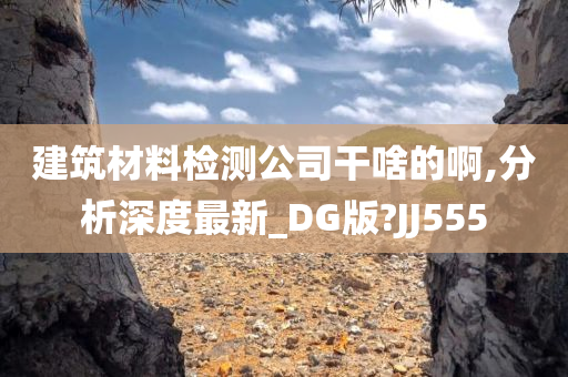 建筑材料检测公司干啥的啊,分析深度最新_DG版?JJ555