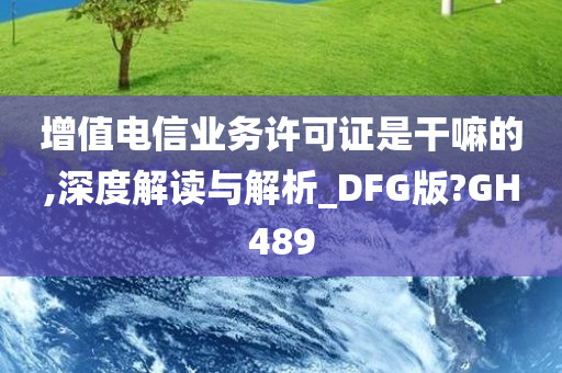 增值电信业务许可证是干嘛的,深度解读与解析_DFG版?GH489